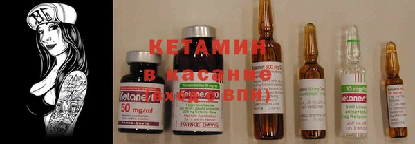 шишки Арсеньев