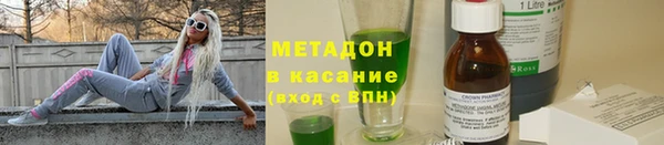 шишки Арсеньев