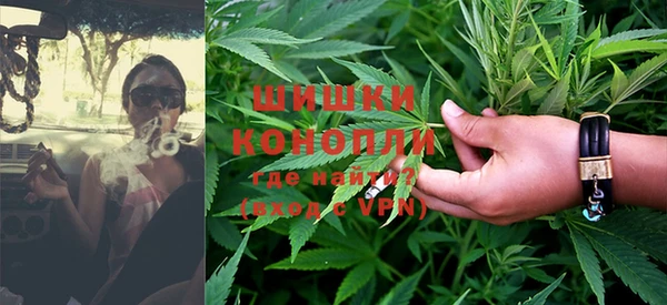 шишки Арсеньев