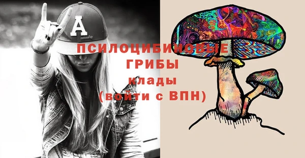 тгк Алзамай