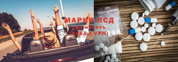 шишки Арсеньев
