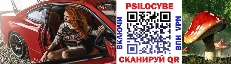Псилоцибиновые грибы Psilocybe  KRAKEN ONION  Майкоп 